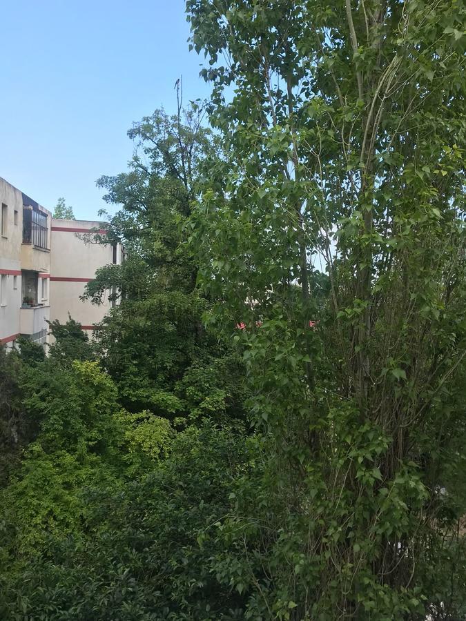 Apartament Myria Constanţa Esterno foto
